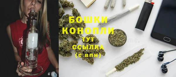 амф Ельня