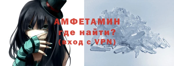амф Ельня