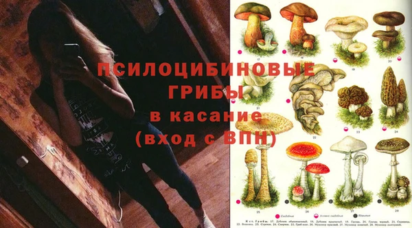 прущая мука Заволжск