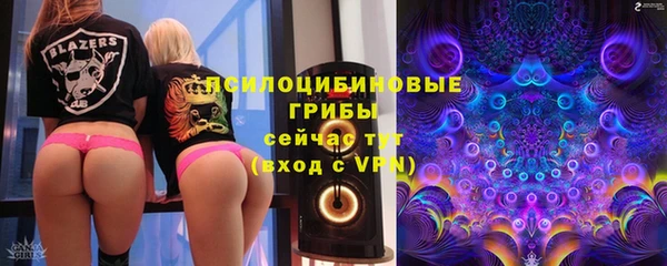 сатива Заволжье