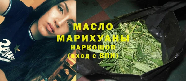 амф Ельня