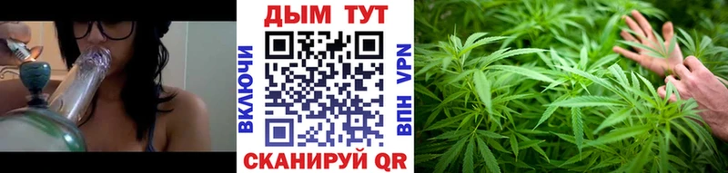 Бошки Шишки семена Щёкино